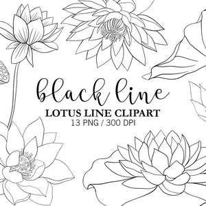 Clipart di linea di loto nero, Line ART, Ninfee, Fiore di loto, Piante di loto, Download digitale floreale, PNG, Grafica yoga, Clipart scarabocchio