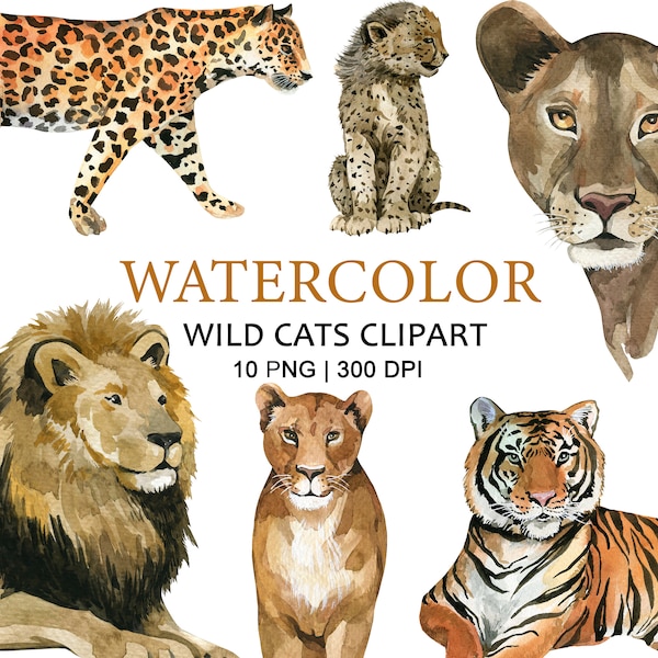 Acuarela gatos salvajes clipart, imágenes prediseñadas de animales, decoración de vivero, PNG, león jaguar guepardo tigre, safari, selva, africano, animales asiáticos