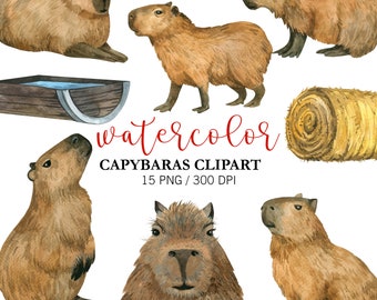 Watercolor Capybara clipart, Nursery Decor, Animal clipart, Baby capybara, Capybara PNG, Capybara clipart, Nursery WallArt, Capybara sticker