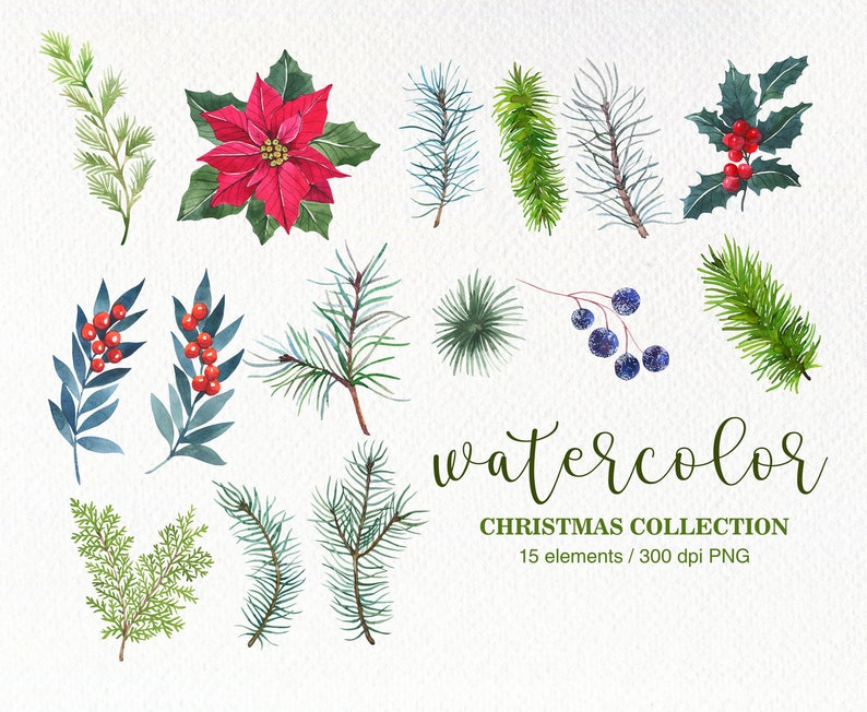 Watercolor Winter Clipart. PNG. Christmas Clipart. Pine | Etsy