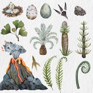 May include: Watercolor illustrations of various nature elements, including a volcano, a palm tree, a fern, a dinosaur footprint, a nest with eggs, and a pineapple. The illustrations are in shades of green, brown, blue, and gray.
