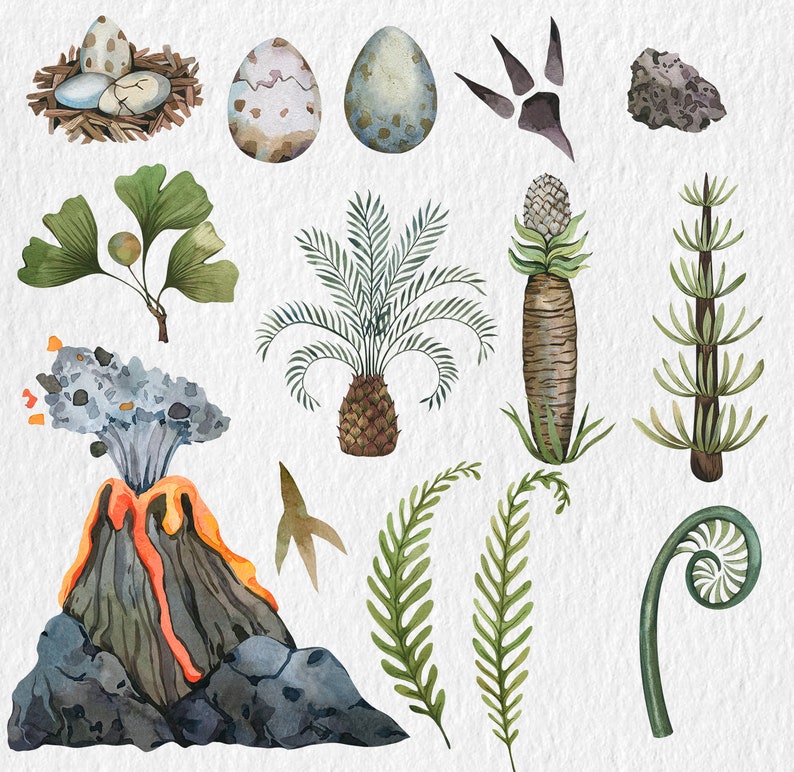 May include: Watercolor illustrations of various nature elements, including a volcano, a palm tree, a fern, a dinosaur footprint, a nest with eggs, and a pineapple. The illustrations are in shades of green, brown, blue, and gray.