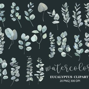 May include: A set of 20 watercolor eucalyptus clipart images. The images are in shades of blue and green and feature various eucalyptus leaves and branches.