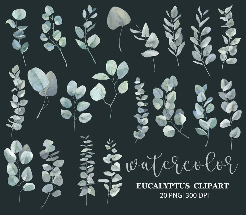 May include: A set of 20 watercolor eucalyptus clipart images. The images are in shades of blue and green and feature various eucalyptus leaves and branches.