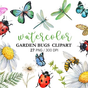 Aquarell Garten Bugs Clipart PNG, Insekten Clipart Marienkäfer, Biene, Libelle, Schmetterling, Babyparty, Kinderzimmer Dekor, Gänseblümchen Blumen Clipart
