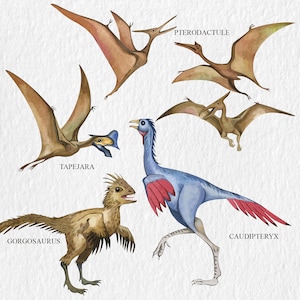 May include: Watercolor illustration of five different dinosaurs, including a blue Caudipteryx, a brown Gorgosaurus, a brown Tapejara, and two brown Pterodactyls. The dinosaurs are depicted in a whimsical style with vibrant colors.