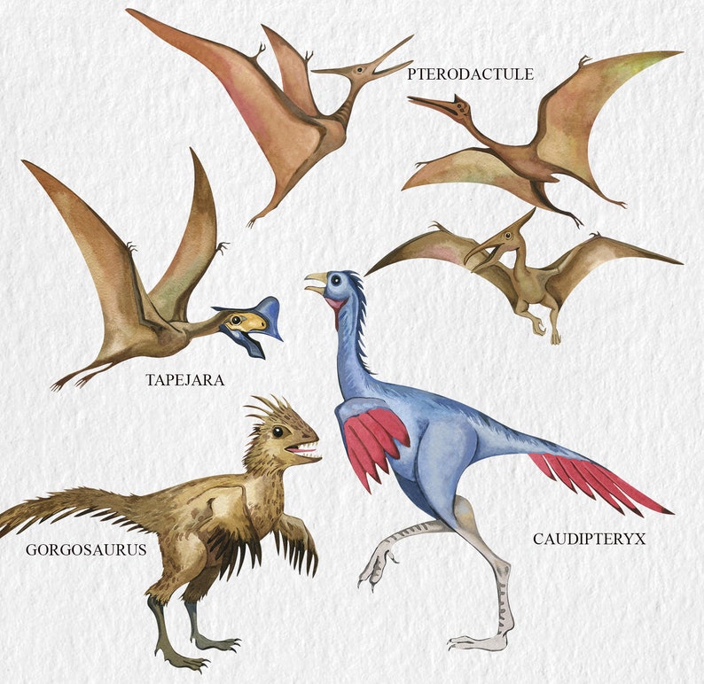 May include: Watercolor illustration of five different dinosaurs, including a blue Caudipteryx, a brown Gorgosaurus, a brown Tapejara, and two brown Pterodactyls. The dinosaurs are depicted in a whimsical style with vibrant colors.