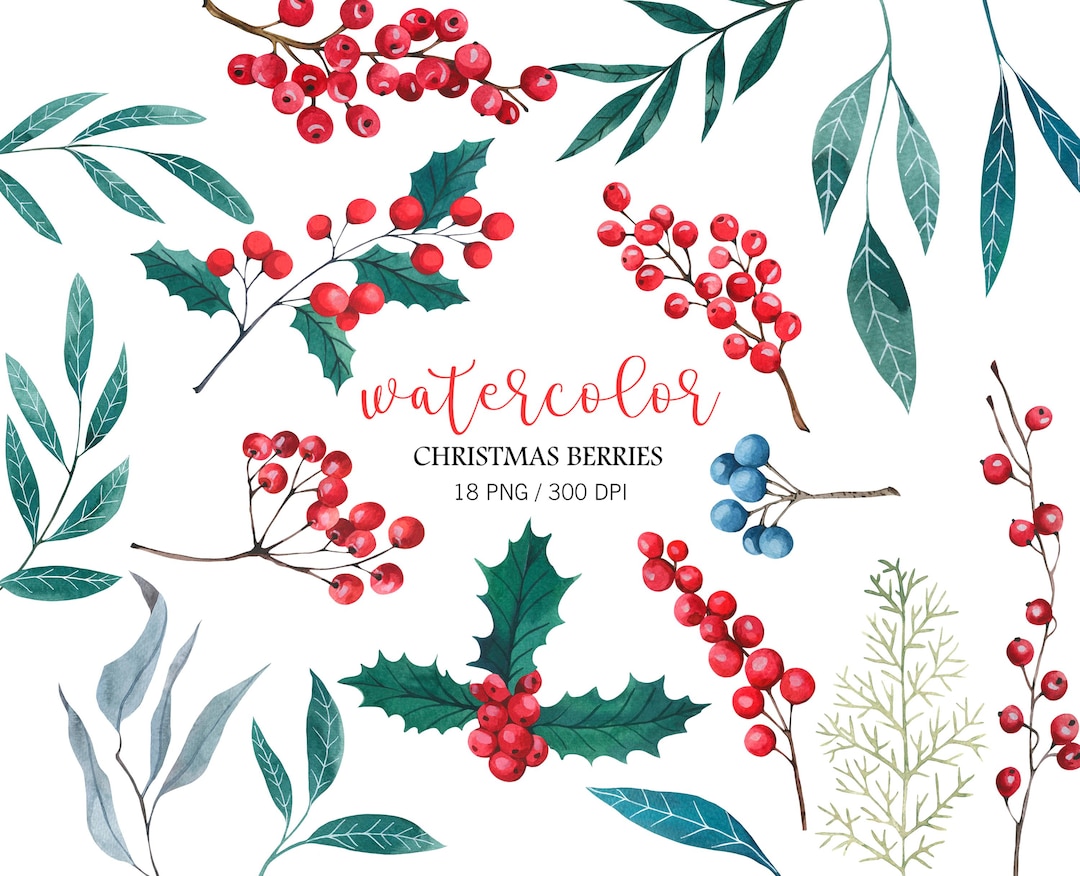 Watercolor Holly Leaves and Red Berries Clipart, Watercolor Christmas ...