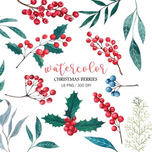 Watercolor holly leaves and red berries clipart, Watercolor Christmas Decor, Winter holiday essentials, Holly leaves, Greenery Clipart, PNG