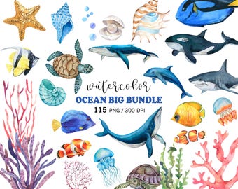 Watercolor Ocean Animals BIG Bundle PNG, Sea Life 115 Elements, Nautical Nursery Decor Whale Shark Turtle Dolphin Fish Coral jellyfish
