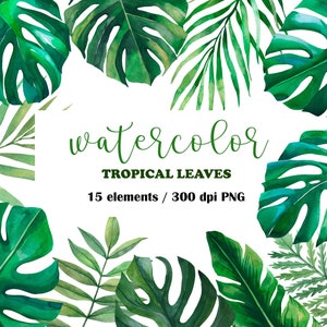 Aquarelle feuilles tropicales Clipart, clipart Monstera, clipart jungle, feuilles peintes à la main, mariage à Hawaï, feuille de palmier, clipart verdure, PNG