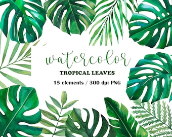 Watercolor Tropical Leaves Clipart, Monstera Clipart, Jungle clipart, Hand painted leaves, Hawaii wedding, Palm leaf, Greenery Clipart, PNG