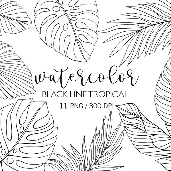 Clipart de feuilles tropicales, Art de ligne noire, Feuille de ligne simple, Plante tropicale, PNG, Feuille de monstre, Palmier, Clipart de griffonnage, Art botanique,