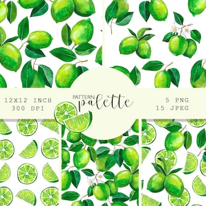 Könnte beinhalten: Eine digitale Mustersammlung mit Aquarellillustrationen von ganzen Limetten, Limettenscheiben und Limettenspalten mit grünen Blättern und weißen Blüten auf weißem Grund. Der Text lautet 12x12 inch, 300 dpi, pattern palette, 5 png, 15 jpeg.