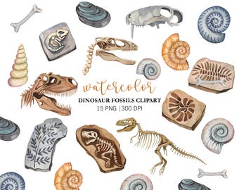 Watercolor Dinosaur Fossils Clipart: Skeleton PNG Dinosaurus Clipart, relict fossils, Dinosaur Bones Turannosaurus Skeleton