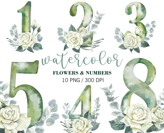 Watercolor Numbers Clipart, Floral Number clip art, White Roses & Nummbers, Eucalyptus Flowers Numbers, Wedding Clipart, PNG, Wedding DIY