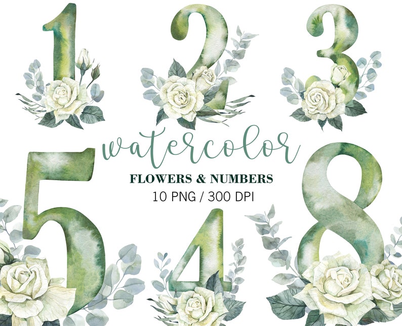 May include: Watercolour illustrations of the numbers 1, 2, 3, 4, 5, and 8 with white roses and green leaves. The text "watercolor flowers & numbers 10 PNG / 300 DPI" is below the numbers.