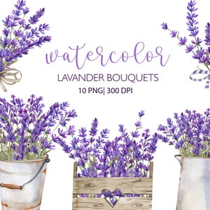 Bouquet di lavanda ad acquerello, pianta di lavanda, clipart matrimonio rustico, clipart floreale ad acquerello, clipart fiori, PNG, lavanda in un secchio
