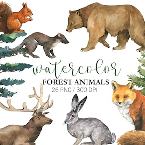 Clipart de animais da floresta em aquarela, PNG, animais da floresta em aquarela, árvores em aquarela, clipart de veados, clipart de chá de bebê, arte de parede para impressão,