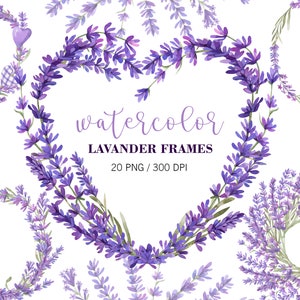 Corona di lavanda dell'acquerello, pianta di lavanda, design rustico del matrimonio, bouquet di lavanda, clipart floreale dell'acquerello, cornici floreali dell'acquerello PNG