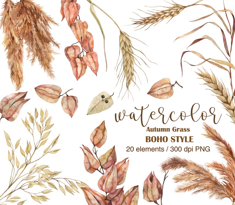 Op de afbeelding: Waterverfillustratie van herfstgras in boho-stijl. De illustratie bevat tarwe, gedroogde bloemen en andere grassen in tinten bruin en beige. De tekst "watercolor Autumn Grass BOHO STYLE 20 elements / 300 dpi PNG" is in de afbeelding opgenomen.