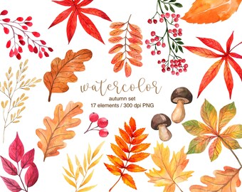 Watercolor Autumn Leaves Clipart, Hand painted, Fall Leaf, Autumn Decor, Watercolor Leaves, Autumn Clipart, Maple, Chestnut, Oak Leaves, PNG