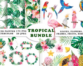 Gran paquete PNG de acuarelas tropicales, hojas, flores y pájaros tropicales pintados a mano, marcos de boda tropicales, patrones sin costuras de verano selvático