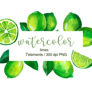 May include: Watercolour illustration of seven green limes with leaves. The text "watercolor limes 7 elements / 300 dpi PNG" is written in green text on a white background.