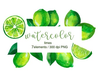 ライムグリーンの水彩画クリップアートPNG、ライムのブランチ、ライム