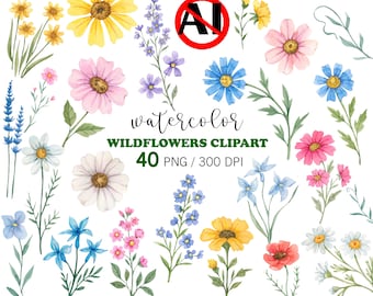 Wildflower Watercolor Clipart, Hand Painted Floral PNG Set, 40 Botanical Flower Illustrations