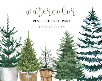 Watercolor Christmas Tree clipart, Pine Tree clipart, Pine tree PNG, Winter Forest Clipart, Winter Clipart, Christmas decor, Watercolor Tree