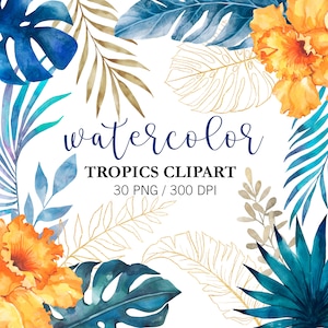 Aquarelle Feuilles tropicales bleues Clipart Indigo Feuilles tropicales Or Tropiques, Monstera Clipart, Feuille de palmier, Jungle clipart, PNG