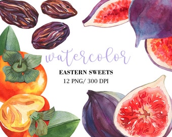 Watercolor Figs Clipart, Fruits watercolor clipart, Vegan Food Digital, Watercolor Fruits Clipart, Food Clipart, Autumn Wedding Clipart PNG