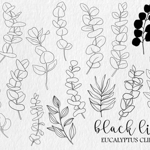 May include: A set of 16 black line drawings of eucalyptus leaves, branches, and sprigs. The drawings are simple and elegant, and would be perfect for use in wedding invitations, stationery, or other design projects. The text "black line eucalyptus clipart" is at the bottom of the image.