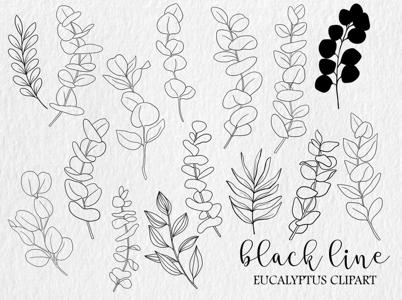 May include: A set of 16 black line drawings of eucalyptus leaves, branches, and sprigs. The drawings are simple and elegant, and would be perfect for use in wedding invitations, stationery, or other design projects. The text "black line eucalyptus clipart" is at the bottom of the image.