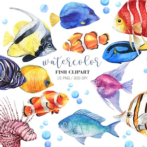 水彩サンゴ礁の魚のクリップアートPNG、海の動物、熱帯の海の生き物のクリップアート、カラフルな魚のイラスト、水中のクリップアート
