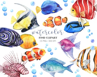 Peces de arrecife de coral en acuarela, imágenes prediseñadas PNG, animales del océano, imágenes prediseñadas de vida marina tropical, ilustración de peces coloridos, imágenes prediseñadas submarinas