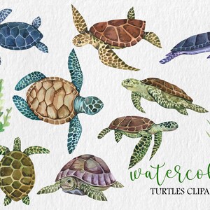May include: Watercolor illustration of eight sea turtles in various colors and poses. The turtles are surrounded by seaweed and grass. The text "watercolor turtles clipart" is written below the turtles.