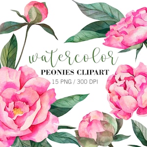 Aquarell Pfingstrose Clipart, Pfingstrosen Blume Clipart, Hochzeit Blumen Clipart, Floral Clipart, rosa Pfingstrosen, PNG florale Elemente, botanische