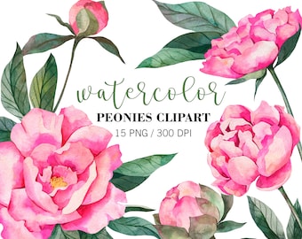 Watercolor Peony Clipart, Peonies Flower Clipart, Wedding Floral Clipart,Floral Clipart, Pink Peonies, PNG Floral Elements, Botanical