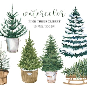 Aquarell Weihnachtsbaum Clipart, Kiefer Clipart, Kiefer PNG, Winter Wald Clipart, Winter Clipart, Weihnachtsdekor, Aquarell Baum