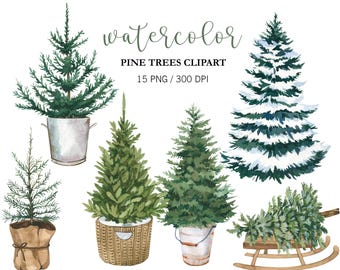 Watercolor Christmas Tree clipart, Pine Tree clipart, Pine tree PNG, Winter Forest Clipart, Winter Clipart, Christmas decor, Watercolor Tree