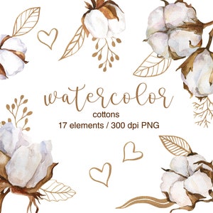 Aquarell Baumwolle Clipart, PNG, goldene Blätter, Baumwolle, Baumwollpflanze, Baumwollzweige, Hochzeitsdesign, rustikales Clipart, DIY, digitale Dateien