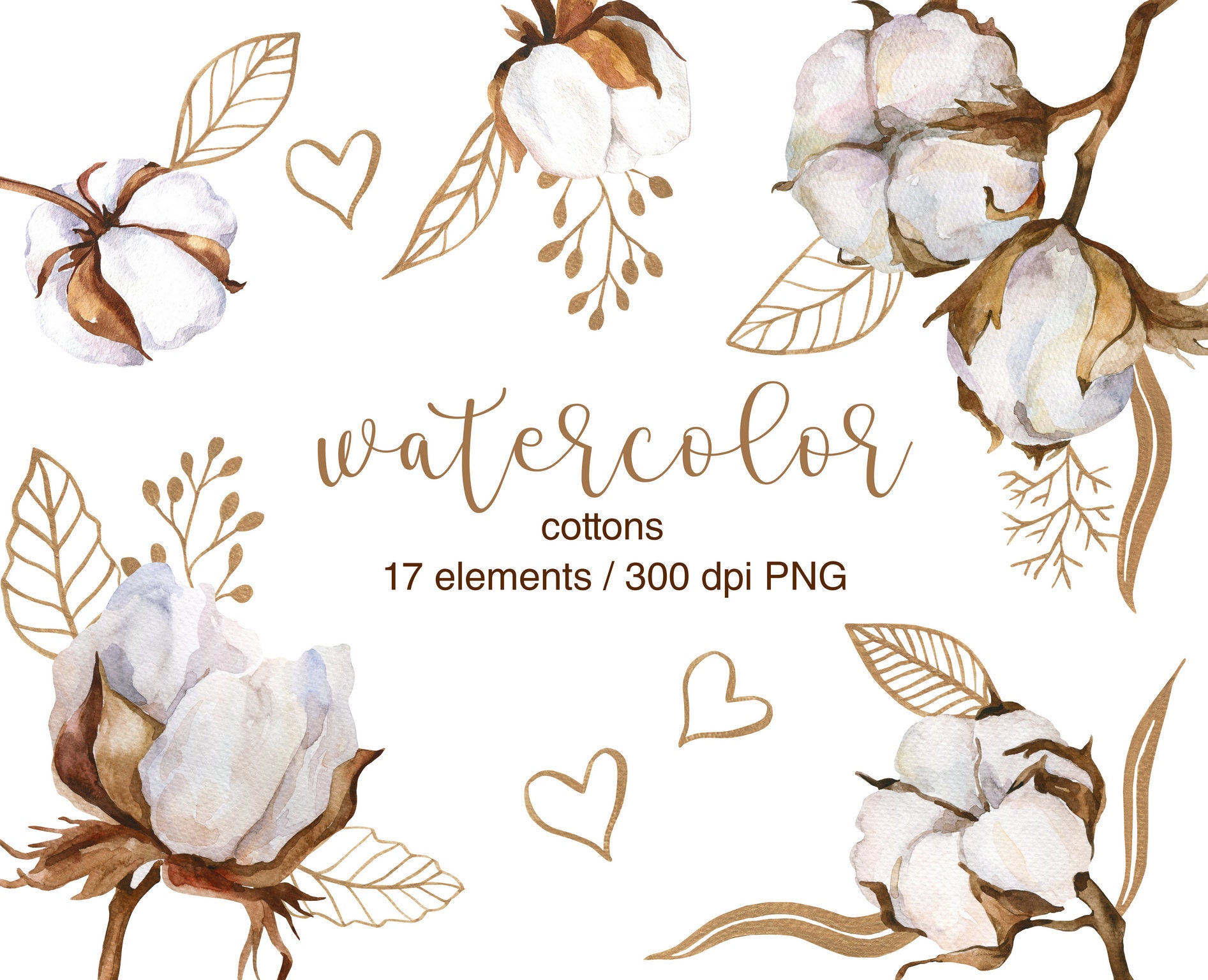 Watercolor Clipart PNG Golden Leaves Cottons - Etsy