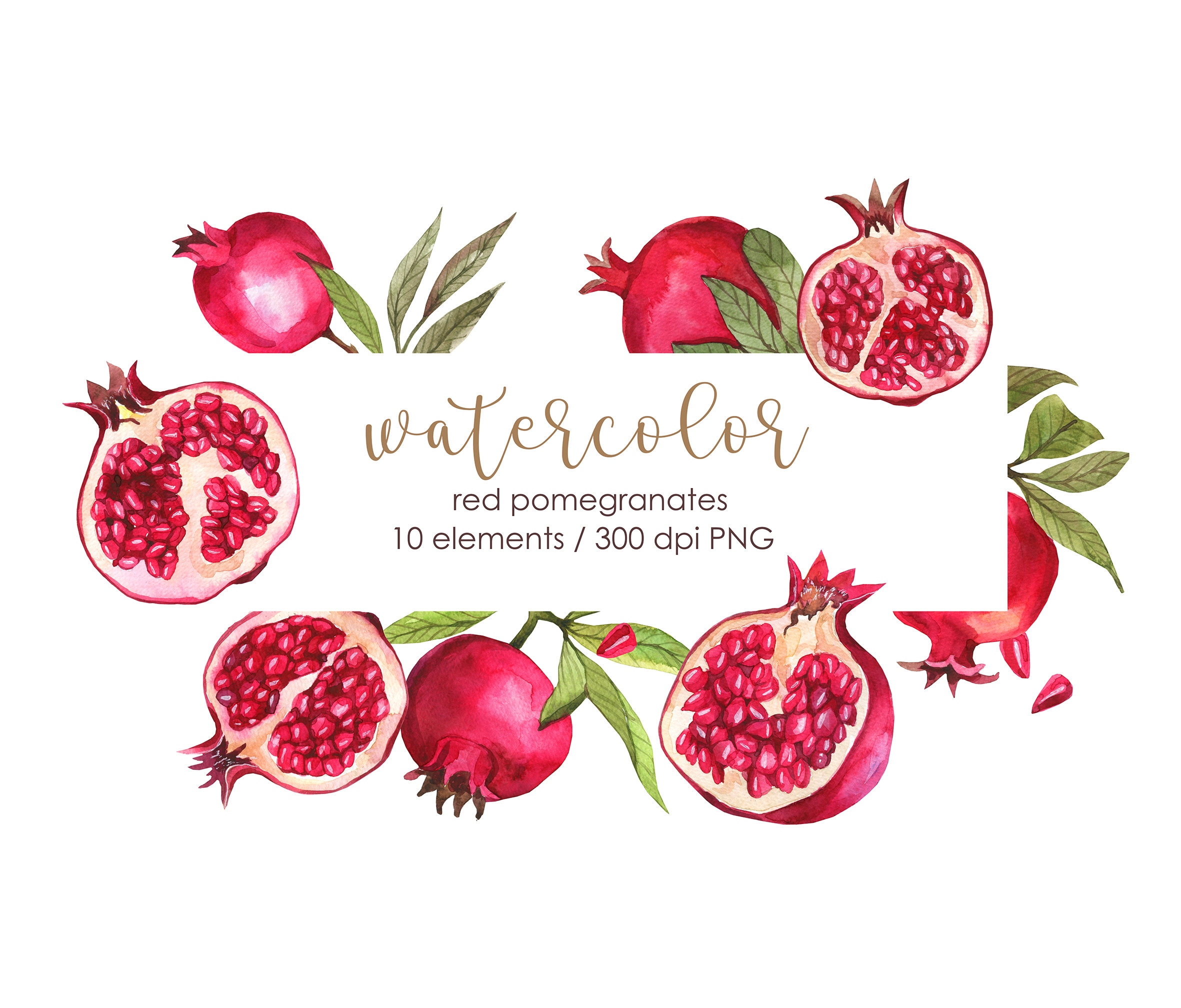 Red Pomegranates Clipart Watercolor Pomegranate PNG Painted - Etsy