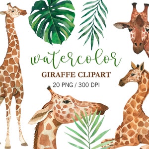 Watercolor Giraffe clipart, Animal clipart, Safari Nursery Decor, Baby Shower Clipart, Animals Art, PNG, Tropical Leaves, Planner Stickers