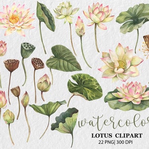May include: Watercolor illustrations of pink and white lotus flowers, green leaves, and seed pods. The illustrations are perfect for creating floral designs, invitations, and other creative projects.