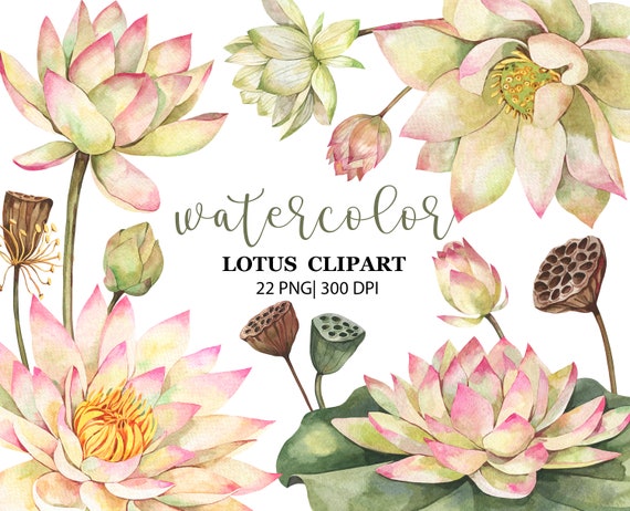 Watercolor Lotus Clipart, Water Lilies, Lotus flower, Lotus green leaves,  Floral Digital Download, PNG, Yoga graphics, Flower invitations