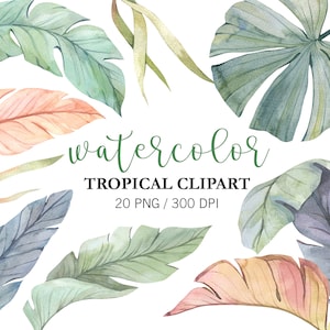 Aquarel tropische bladeren clipart, tropen clipart, groen clipart, jungle clipart, handgeschilderde bladeren, Hawaii bruiloft, palmblad, png