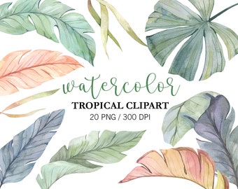 Clipart aquarelle de feuilles tropicales : verdure de la jungle PNG en téléchargement numérique Feuilles de palmier